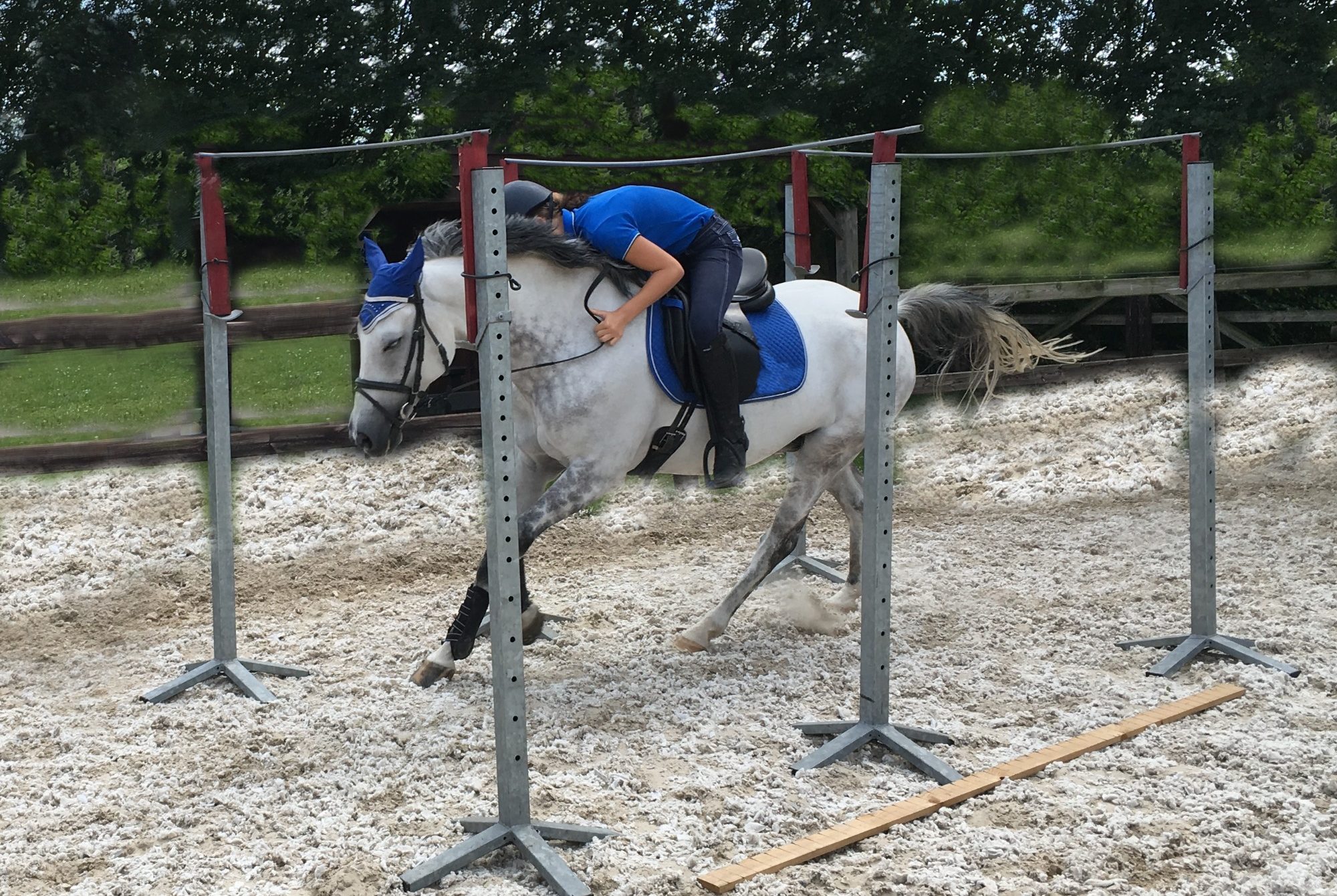 2e hands ruitersport artikelen 2e hands ruitersport artikelen