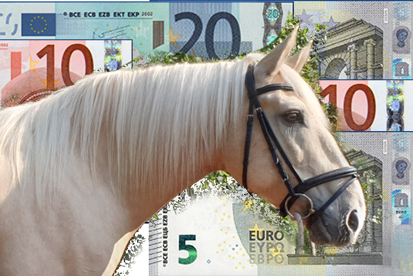 2e hands ruitersport artikelen 2e hands ruitersport artikelen