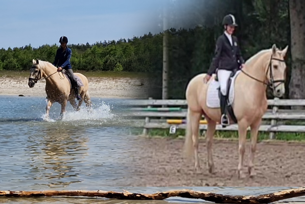 2e hands ruitersport artikelen 2e hands ruitersport artikelen